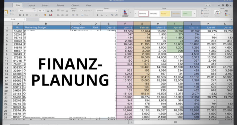 Der perfekte Businessplan (PDF Version)